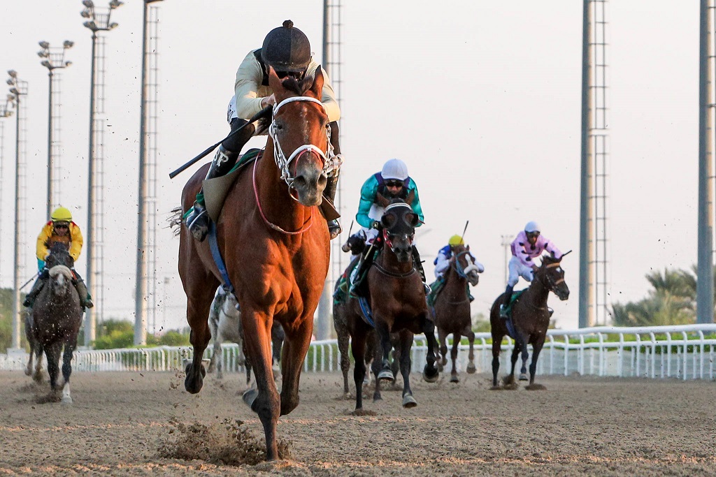 DALIL DE CARRERE (FR)